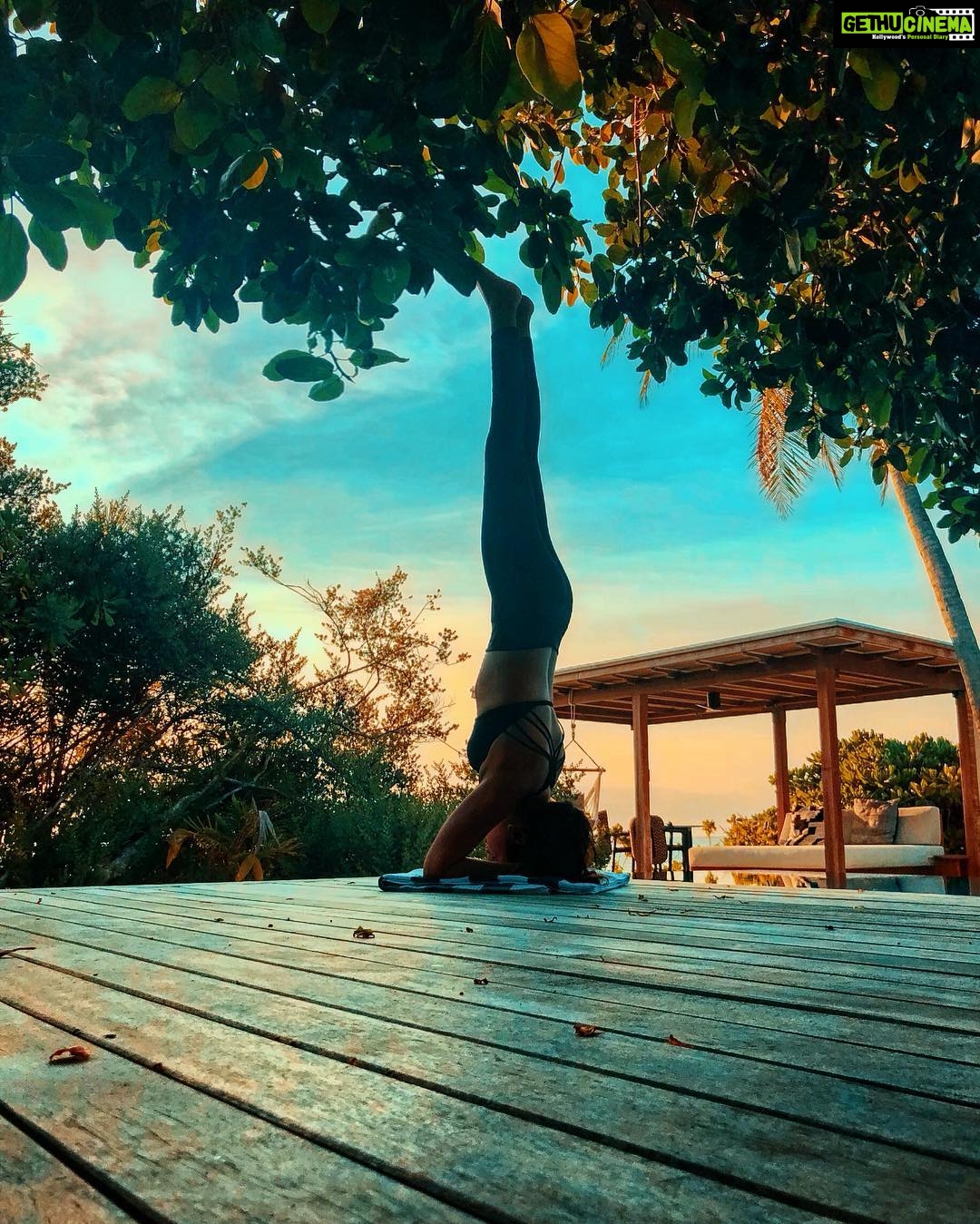 Sonakshi Sinha Instagram - The challenge here was not to stand on my head. It was to do it at the edge of the pool and not fall in... happy to announce that i did not. #livinglifeontheedge #headstand #yoga