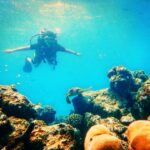 Sonakshi Sinha Instagram - I swam with a turtle this sunday afternoon, what did you get up to? @fairmont.maldives #scubadiving #waterbaby #maldivesislands