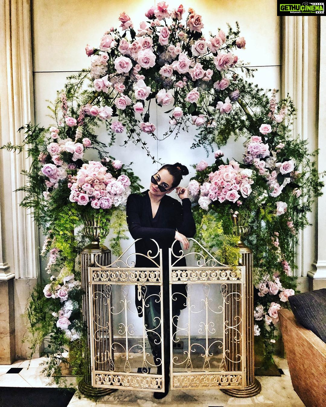 Sonakshi Sinha Instagram - Can you tell how much of a morning person i am?!? #whenflowersalsodonthelp #Mood #donttalktomejustyet Los Angeles, California