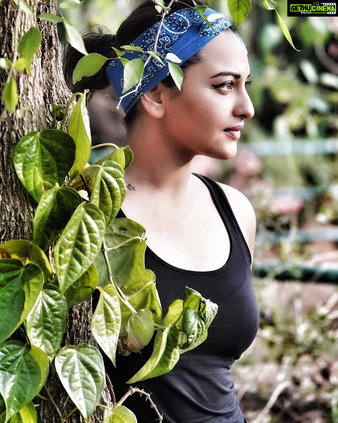 Sonakshi Sinha Instagram - Just posing next to a tree. Nothing profound here... move along. shot by talent ka bhandaar @saajan_singh23 🙌🏼