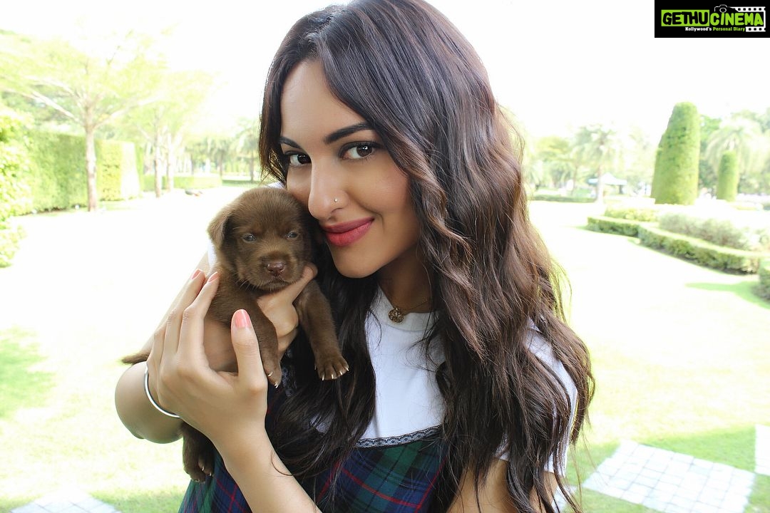 Sonakshi Sinha Instagram - Omg puppieeeeesssss 😍😍😍😍😍 #deathbycuteness #puppyoverdose #happiness Bangkok, Thailand