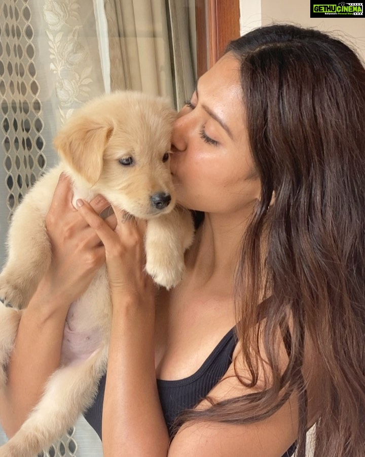 Sonam Bajwa Instagram - ββ΄π ππΆππ ππΎππβ―π πΆπβ― πβ΄β΄ ππΆππ ππΎππβ―π.? #βπΆπΉπΉππ±πΎππ β€οΈβ€οΈ