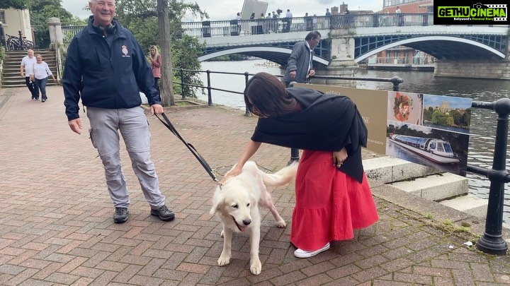 Sonam Bajwa Instagram - Favorite kind of visitors on set 🤍 Maple you made my day ☺️