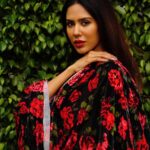 Sonam Bajwa Instagram -