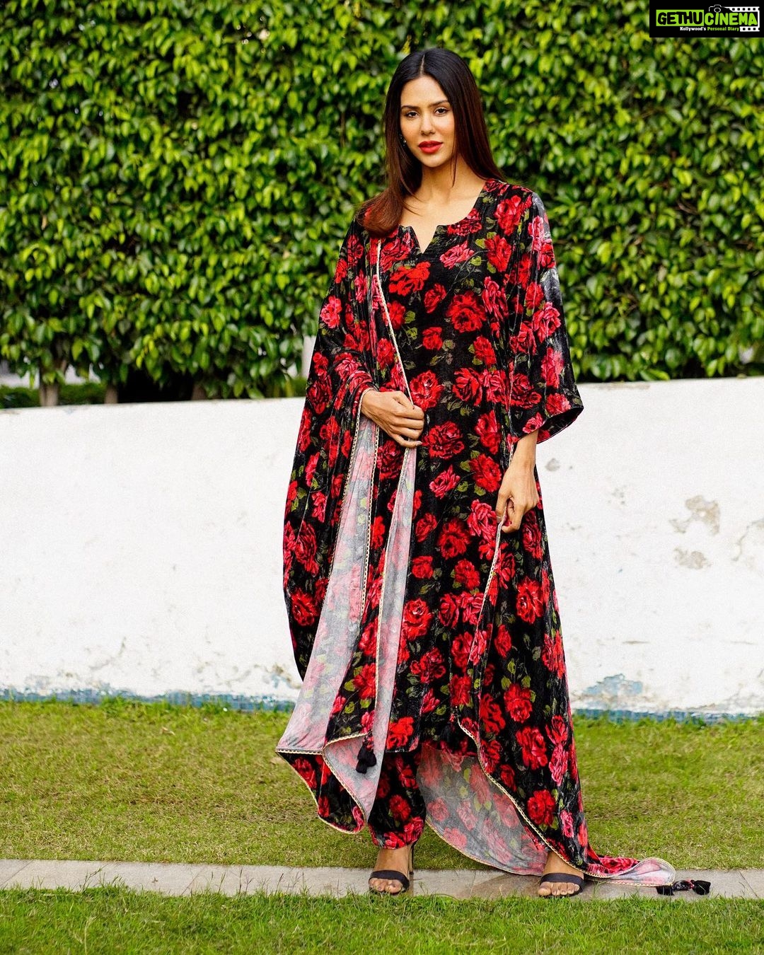 Sonam Bajwa Instagram - 🌹🌹 Wearing @drzya_ridhisuri Makeup @coco_ballucci Hair @hairbyharrybajwa 📸 @tjsidhu22