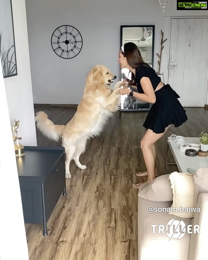 Sonam Bajwa Instagram - NYE without Simba would be incomplete! We're spending our day on @triller_india watching and making the best videos. You should too! #AaoTrillKare @triller