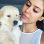 Sonam Bajwa Instagram - My Simburi 😩😩😩 This was Simba’s 2nd day in the house ❤️. Why is he growing up so fast 😩 I remember seeing him for the first time and falling in love with him ❤️ #Simba mera Mr India banega 😁