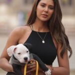 Sonam Bajwa Instagram - Pitbull rakheya karan nu rakhi 😍😍