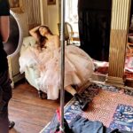 Sonam Kapoor Instagram - Some BTS from @bazaarindia