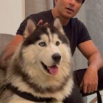 Sonu Sood Instagram - There has been a steep rise in number of animal cruelty cases across the country, including barbaric killing of animals. We need stronger laws to prevent such crimes. Please sign this petition to the Prime Minister urging him to make stronger laws for animals. Animal laws need to be strengthened. @mansha_bahl @pulkitvamp Vocalforanimals.org