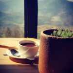 Sruthi Hariharan Instagram - Hot chocolate and A half an hour ... #idealmoments #kodaifeels #unplannedgetaways #roadtrippin #cretagirl #driveintothesunset #latergram Passiflora Art Cafe