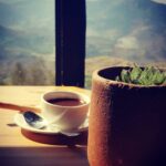 Sruthi Hariharan Instagram – Hot chocolate and A half an hour …
#idealmoments #kodaifeels #unplannedgetaways #roadtrippin #cretagirl #driveintothesunset #latergram Passiflora Art Cafe