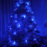 Sunny Leone Instagram - Merry Christmas everyone!