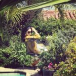 Sunny Leone Instagram - Sitting in the garden.. just hanging out!! Los Angeles, California