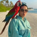 Sunny Leone Instagram - Animal rescue on the island!! He was adorable until he decided he wanted to take my glasses! Naughty Macaw! @sunsiyamolhuveli @sunsiyamresorts @zenasiatravel @asyouplan @puremaldives #olhuveli #sunsiyamresorts #sunsiyam #travelwithasyouplan #zenasiatravel Dress and headband by @peeke.in