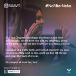 Sunny Leone Instagram – Quotes that are real and #NoFilterNeha Good times with @nehadhupia @wearebiggirl  http://saa.vn/nfnsunny