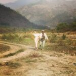 Sunny Leone Instagram - Someone save us from the splitsvillans! They are out of control this year!! 😜 @MTVIndia @MTVSplitsvilla @RannvijaySingha Jim Corbett National Park - Ramnagar