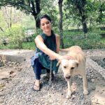 Sunny Leone Instagram – First day in Jim Corbett shooting for @MTVSplitsvilla and here is my new friend Bella 😍 she is so sweet. 
Day 1 of 30! Jim Corbett National Park-CorbettTigerReserve