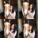 Sunny Leone Instagram – Such an amazing afternoon at a horse riding lesson! love CM Rigali academy! Benny kept wanting @dirrty99  to pet her. Lol