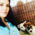 Sunny Leone Instagram – I love them so much. They are still scared but I’m sure they will come around with more love from everyone. @animalhopeandwellness