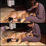 Sunny Leone Instagram – Exactly how I want to spend my morning!! On the floor with my boy Chopper who wants to lay in my lap! Hehe love this cutie!