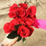 Sunny Leone Instagram - Such beautiful roses today!!