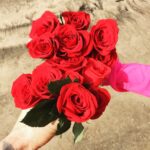 Sunny Leone Instagram – Such beautiful roses today!!