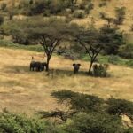 Sunny Leone Instagram – The view from my room Mahali mzuri…breathtaking!!