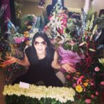 Sunny Leone Instagram - Haha love them all!!