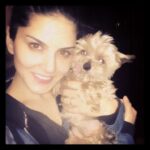 Sunny Leone Instagram – Rufio the cutest rescue dog I have ever met! No teeth, old and the cutest ever!