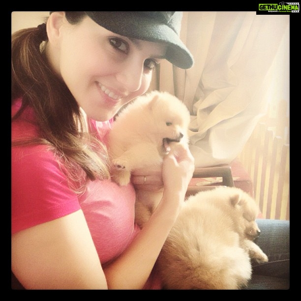 Sunny Leone Instagram - I've fallen in love with the pups!!