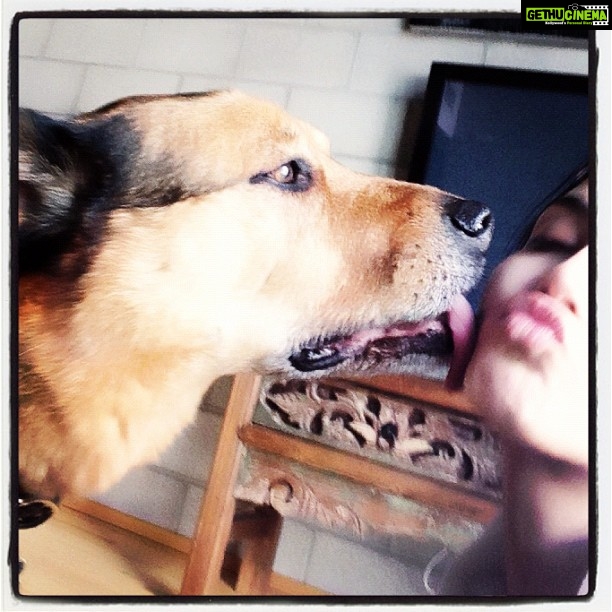 Sunny Leone Instagram - Big kiss from my baby boy!! Well he's bigger then me but he's still my baby.