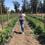 Sunny Leone Instagram - Went to the farm today with @dirrty99 we are now picking our own veggies straight from Mother Earth! :) great day!