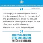 Sushant Singh Rajput Instagram - #Repost “I’m deeply concerned by the fires in the Amazon rainforest," said #UnitedNations Secretary-General @antonioguterres on Thursday. "In the midst of the global climate crisis, we cannot afford more damage to a major source of oxygen and biodiversity. The Amazon must be protected." #ClimateAction #GlobalGoals #amazonfire #amazonrainforest