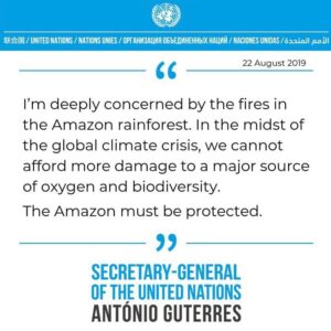 Sushant Singh Rajput Instagram - #Repost “I’m deeply concerned by the fires in the Amazon rainforest," said #UnitedNations Secretary-General @antonioguterres on Thursday. "In the midst of the global climate crisis, we cannot afford more damage to a major source of oxygen and biodiversity. The Amazon must be protected." #ClimateAction #GlobalGoals
#amazonfire #amazonrainforest