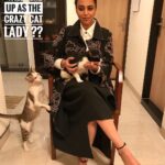 Swara Bhaskar Instagram – What I ask myself every goddamn day! #catsofinstagram #catsruinmylife 😹😸😼