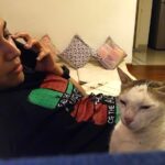 Swara Bhaskar Instagram - The cat's face is how i feel about the world these days!!! 😹😹😹 #AtomAndMe #catisagirlsbestfriend #catsofinstagram #petsofinstagram #dayathome #chillingwiththepet