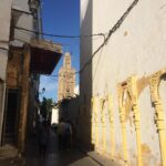 Swara Bhaskar Instagram - #casablanca streets from another angle! :) #morocco #minaret #travelgram