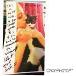 Swara Bhaskar Instagram - This being the genuinely ridiculous life I lead!!! 🙈🙈🙈 spent the evening making such posters and putting them up around my neighbourhood.. Two hours later this little pest, missing for the last 3 days turned up at the society office!!! 😹😹😹 #foundmyanimal #foundthecat #instapet #petpeeves literally :) #mydumblife #Kulfi