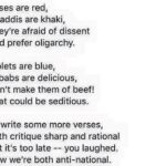 Swara Bhaskar Instagram - Humour is the best weapon! :) poem by #SanchiaDSouza #seditiondebate #resist #antistupid
