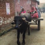 Swara Bhaskar Instagram - Something so empowering about the image of #womendrivers :) whatever the vehicle be! :) Hope all women are able to #steertheirowncourse #indiabeyondmetros #india #indianwomen #uttarpradesh