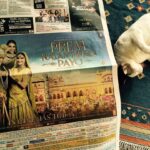 Swara Bhaskar Instagram - #premratandhanpayo may be breaking the #boxoffice but #atom the cat don't give a shit! :) #realitybites #instapets #instacats #puttingmycelebrationintoperspective :)
