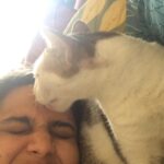 Swara Bhaskar Instagram - Oh so much love!!! Welcome back after weeklong #instabreak #instacats #instapets #kittylove #igers #instagramers #atom #lifewithacat