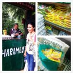 Swara Bhaskar Instagram – OMG!!! Found unsold, un-zapt stocks of Maggi in Himachal.. U know what happened then???? #Boughtthewholeshelf #maggiaddict #idontcareaboutleadtales #sheepish #maggi #iloveyouMaggi