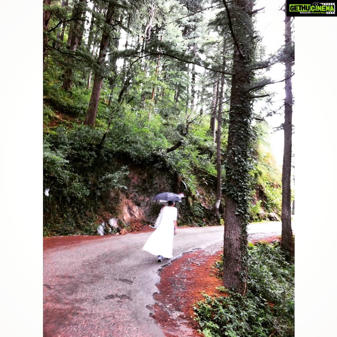 Swara Bhaskar Instagram - Some me-time in the hills! #gettingclarity #gettingperspective #thinkingaboutlifeetc #thoughts #walkintherain #himachalpradesh #india