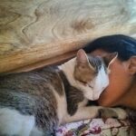 Swara Bhaskar Instagram – On a bad day.. Bury thy troubles in thy furry friend! :) #atomandme #furryfelinefriend #instacats #instapets #pettherapy #philosophizingonlife