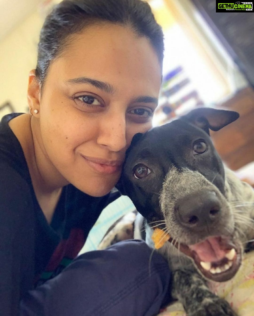 Swara Bhaskar Instagram - This fellow trotted into my life 2 days before the lockdown courtesy @aditianand and since then life has been a furry snuggle fest! #happyinternationaldogday Godot! π₯°πππΆ #rescue #adoptdontshop #lifewithgodot