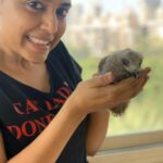Swara Bhaskar Instagram - So I was walking my dog #Godot in the building garden/ parking area and he was sniffing what I thought was garbage but turned out to be A BABY KITE!!!!! A friggin’ bird of prey!!! The guard said it has fallen out 3-4 days ago! It’s mother had not come and was nowhere to be seen- one didn’t know where the nest was! Anyway I brought him/her home.. Spoken to a Wildlife Rescue NGO.. in the meantime named him CHANGEZ after Genghis Khan- he will rule the skies of Mumbai 🤣🤣🤣🤣 come watch me and @vikaesh5 give Changez lunch!!