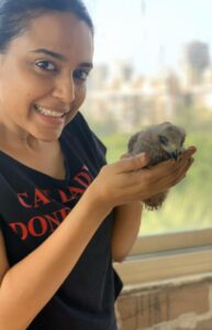 Swara Bhaskar Instagram - So I was walking my dog #Godot in the building garden/ parking area and he was sniffing what I thought was garbage but turned out to be A BABY KITE!!!!! A friggin’ bird of prey!!! The guard said it has fallen out 3-4 days ago! It’s mother had not come and was nowhere to be seen- one didn’t know where the nest was! Anyway I brought him/her home.. Spoken to a Wildlife Rescue NGO.. in the meantime named him CHANGEZ after Genghis Khan- he will rule the skies of Mumbai 🤣🤣🤣🤣 come watch me and @vikaesh5 give Changez lunch!!