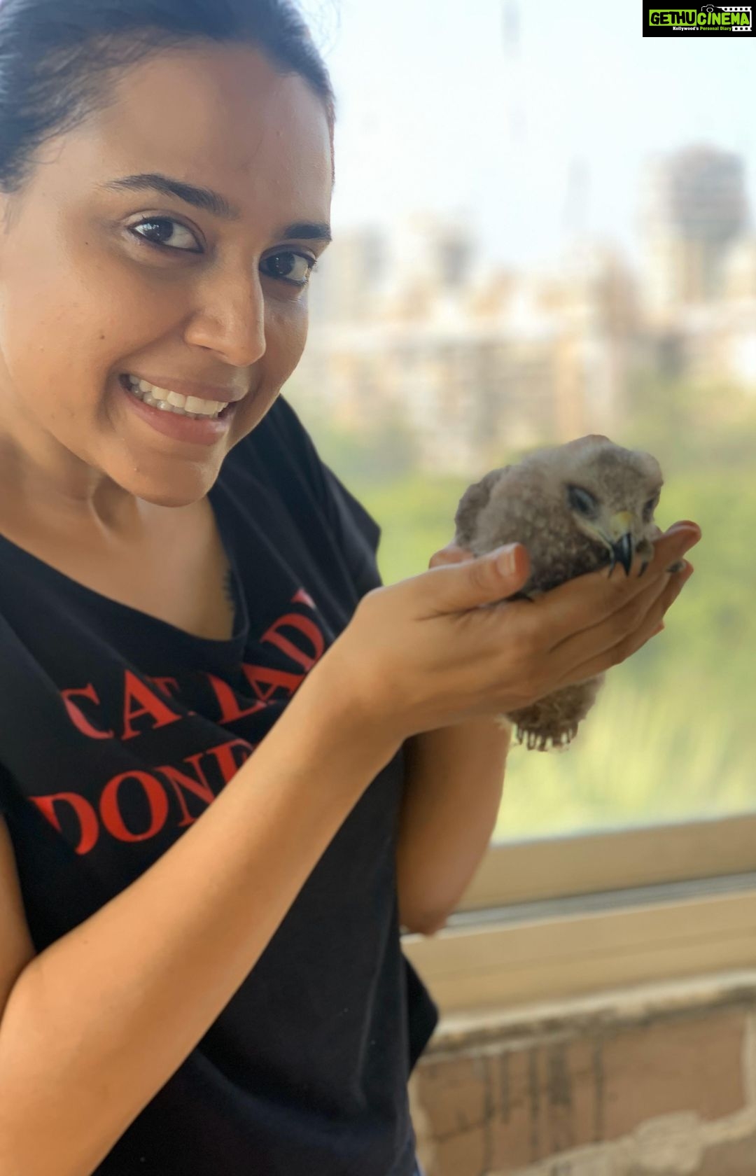 Swara Bhaskar Instagram - So I was walking my dog #Godot in the building garden/ parking area and he was sniffing what I thought was garbage but turned out to be A BABY KITE!!!!! A friggin’ bird of prey!!! The guard said it has fallen out 3-4 days ago! It’s mother had not come and was nowhere to be seen- one didn’t know where the nest was! Anyway I brought him/her home.. Spoken to a Wildlife Rescue NGO.. in the meantime named him CHANGEZ after Genghis Khan- he will rule the skies of Mumbai 🤣🤣🤣🤣 come watch me and @vikaesh5 give Changez lunch!!